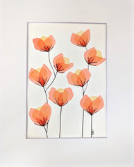 Peach Bloom #3