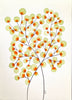 Green & Orange Tree