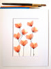 Peach Bloom #3