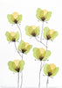 Green Garden Blooms #9