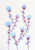Blue Orbs & Pink Dandelions #10