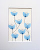 Blue Tulip Blooms #12