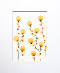Golden Dandelion Stems #17