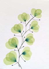 Sage Green Leaf Branch #18