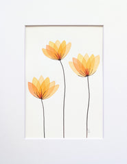 Petal Parade #26