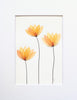Petal Parade #26