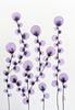 Blooming Celebration #30