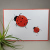 Lady Bug Art Print